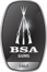 BSA GUNS