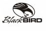 BLACKBIRD logo