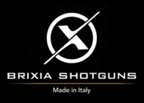 BRIXIA logo