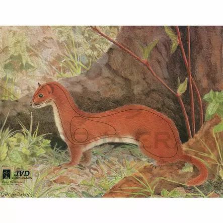 Jousiammuntataulu Kärppä 32x22 cm - Paperiset maalitaulut - 2052175830850 - 2