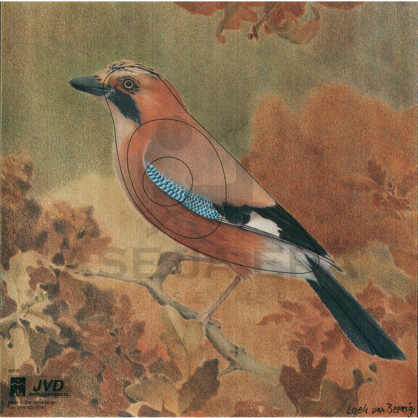 Jousiammuntataulu Närhi 30x30 cm - Paperiset maalitaulut - 1028231000 - 1