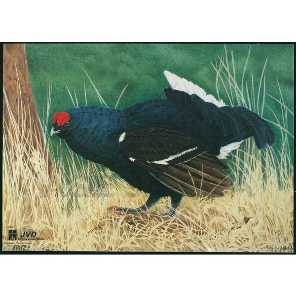 Jousiammuntataulu Teeri 70x50 cm - Paperiset maalitaulut - 1028291000 - 1