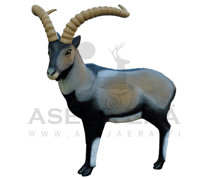 SRT Target 3D-taulu Iberian Ibex - 3D-eläintaulut - 1166051000 - 1