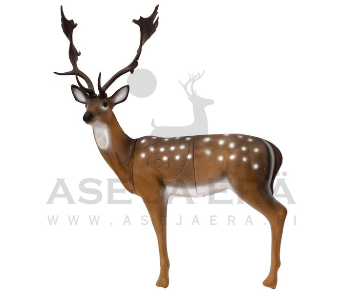 SRT Target 3D-taulu Kuusipeura - 3D-eläintaulut - 1030741000 - 1