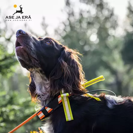 Barq heijastinläppä 12 cm - Koiran ulkoilu - 7340143704681 - 2