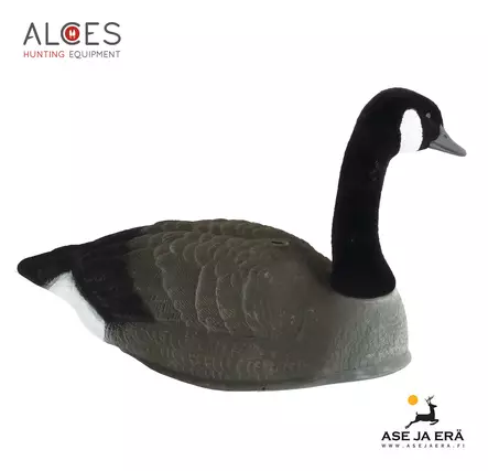 Kanadanhanhi Alces houkutuskuva, kuori - Houkutuskuvat - 102131 - 3