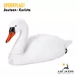 SportPlast KORISTE Swan valkoinen Yleiskuva - Houkutuskuvat - 841854020284X1 - 1