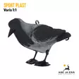 SportPlast varis 100% koko - etuviistosta - Houkutuskuvat - 841854020345X1 - 6