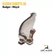 Eleven Targets 3D-taulu Mäyrä - 3D-eläintaulut - 8717974180691 - 6
