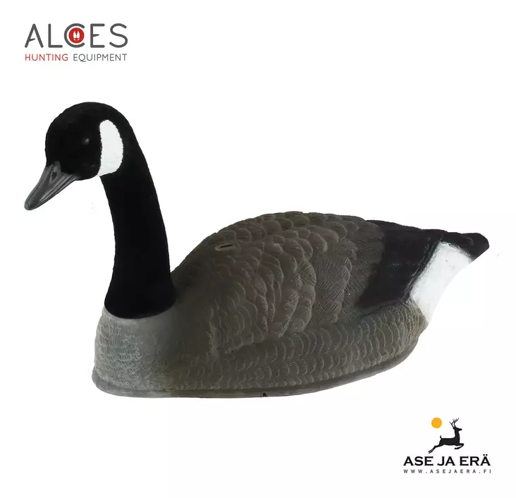 Kanadanhanhi Alces houkutuskuva, kuori - Houkutuskuvat - 102131 - 2