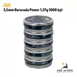 5,5mm H&N Baracuda Power 1,37g 1000 kpl  ilmakiväärinluoti - Rasiat pinossa - 5,5 mm luodit - 4047058015002 - 15