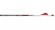 Easton Bloodline 6mm hiilikuitunuoli - Hiilikuitunuolet - PE1F619332TF72 - 1