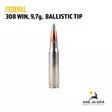 Federal Premium .308 Win 9,7g Nosler Ballistic Tip kiväärinpatruuna - 308 kaliiperi - 029465090302 - 3
