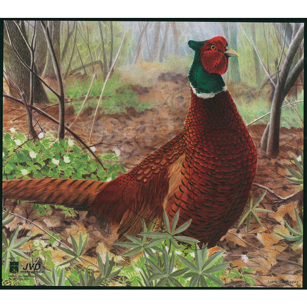 Jousiammuntataulu Fasaani 40x50 cm - Paperiset maalitaulut - 2043224645952 - 4