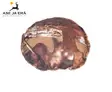 Mystique Dummy Hunting Disc 165g - Nailon - Metsästyskoiran koulutustarvikkeet - 8586016371973 - 2