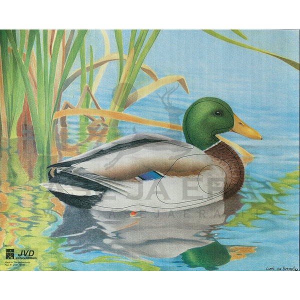 Jousiammuntataulu Heinäsorsa 50x40cm - Paperiset maalitaulut - 2045403894243 - 4