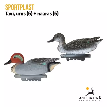 SportPlast Tavi houkutuskaavepakkaus, 12 kpl - Houkutuskuvat - 841854021304 - 2