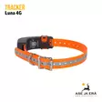 Tracker Luna 4G Koiratutka, oranssi - oikealta takaviistosta - Koiratutkat - 6438103003484 - 12