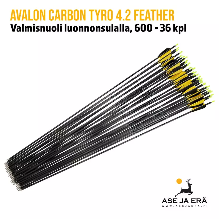 Avalon Carbon Tyro 4.2 Feather 600 nuoli luonnonsulalla, 36 kpl - yleiskuva nuolista - Hiilikuitunuolet - 6426004868844 - 1