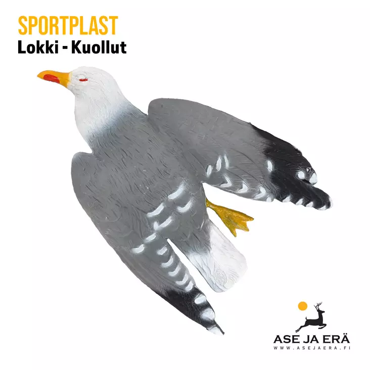 SportPlast kuollut lokki -karkotuskuva - Houkutuskuvat - 422054 - 1