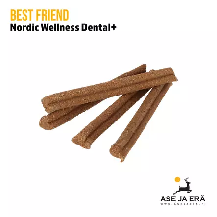 Best Friend Nordic Wellness makupalatanko Dental+ 100 g - Koiran herkut ja puruluut - 5700551172915 - 2