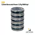 5,5mm H&N Baracuda Power 1,37g 1000 kpl  ilmakiväärinluoti - Rasiat pinossa - 5,5 mm luodit - 4047058015002x5 - 1
