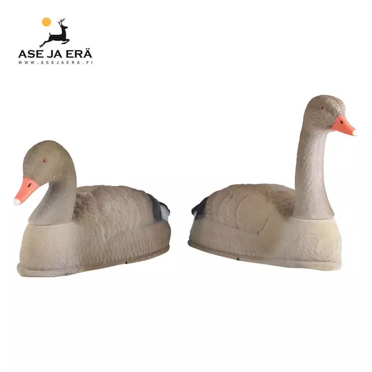 Merihanhi Alces houkutuskuva, kuori - Houkutuskuvat - 7340143709785 - 2