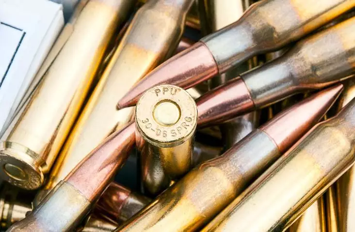 30-06 PPU kiväärinpatruuna 9,7 g VM-FMJ Bulk - 30-06 kaliiperi - PPU3006 - 1