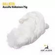 Ballistol Asesilla Valkoinen 75g - Puhdistustulpat ja asesillat - 4017777237207 - 9