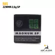 RWS 22WMR 2,6g SP pienoiskivääripatruuna - 22 WMR patruunat - 4000294133077 - 10