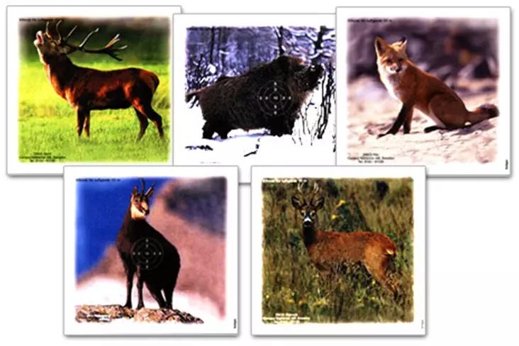 Ilmakivääri taulu 14x13,5 5 eläimen valikoima 50kpl - Ampumataulut - 2042453756477 - 3