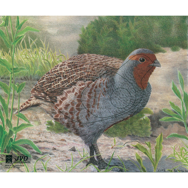 Jousiammuntataulu Peltopyy 33x27 cm - Paperiset maalitaulut - 2045403867797 - 4