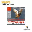 Winchester Special Canard Steel 12/70 34g 3,1mm haulikon patruuna - Lyijyttömät patruunat - 634957816928 - 1