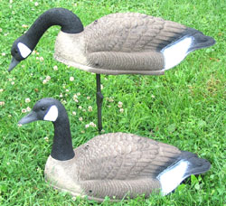 SportPlast Kanadanhanhi kuori houkutuskuva - Houkutuskuvat - 0841854000958 - 1