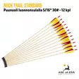 Buck Trail Standard puunuoli 5/16" 30# - 12 kpl - yleiskuva kaksitoista nuolta - Puunuolet - 6426021719709 - 1