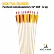 Buck Trail Standard puunuoli 5/16" 30# - 12 kpl - yksityiskohta sulkaosasta - Puunuolet - 6426021719709 - 2