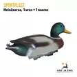 SportPlast heinäsorsa uros ja naaras - Uros takaviistosta - Houkutuskuvat - 841854030719 - 20