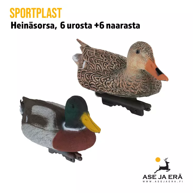 SportPlast heinäsorsa - Houkutuskuvat - 841854030719 - 2