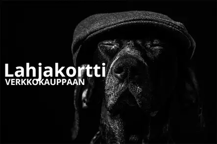 Lahjakortti verkkokauppaan - Lahjaksi - lahjakortti_lahja - 1