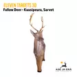Eleven Targets 3D-taulu Kuusipeura vaihtoinsertillä ja sarvilla - 3D-eläintaulut - ELVaE30ELVaE30H - 7