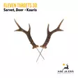 Eleven Targets 3D Hyppäävän Kauriin sarvet - 3D-eläintaulut - ELVaE46h - 1