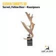 Eleven Targets 3D Kuusipeuran sarvet - 3D-eläintaulut - ELVaE30H - 6