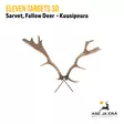 Eleven Targets 3D Kuusipeuran sarvet - 3D-eläintaulut - ELVaE30H - 1