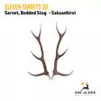 Eleven Targets 3D Saksanhirven sarvet - 3D-eläintaulut - ELVaE59H - 1