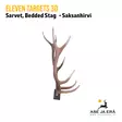 Eleven Targets 3D Saksanhirven sarvet - 3D-eläintaulut - ELVaE59H - 8