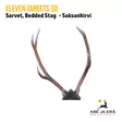 Eleven Targets 3D Saksanhirven sarvet - 3D-eläintaulut - ELVaE59H - 10