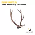 Eleven Targets 3D Saksanhirven sarvet - 3D-eläintaulut - ELVaE59H - 9