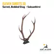 Eleven Targets 3D Saksanhirven sarvet - 3D-eläintaulut - ELVaE59H - 5